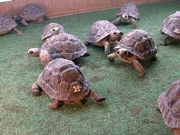 �]�E�K����BABY1