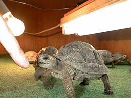 �]�E�K����BABY3