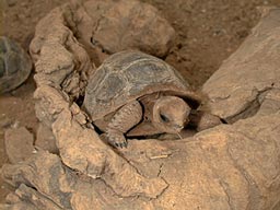 �]�E�K����BABY4