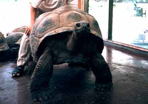 �]�E�K��-3