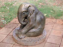 �z�m����������