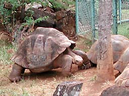 �z�m����������