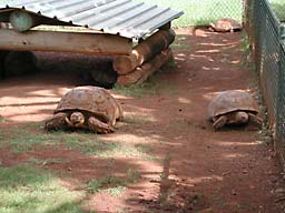 �z�m����������