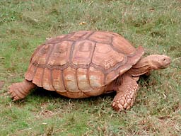 �z�m����������