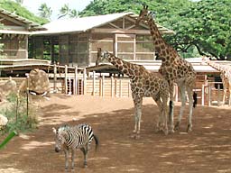 �z�m����������