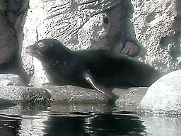 �����N�V�[��