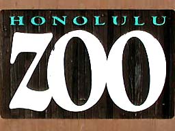 �z�m����������