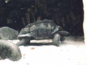 �]�E�K��-2