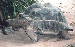 �]�E�K��-3