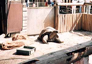 �]�E�K��-2