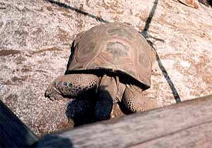 �]�E�K��-3