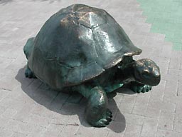 ��쓮����