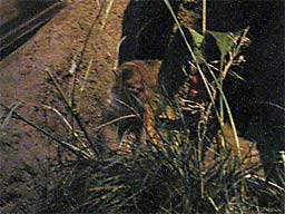 ��쓮����