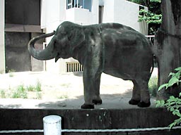 ��쓮����