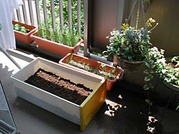 �x�����_�Q