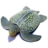 �A�[�P����