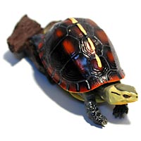 �T�ԓV�R�L�O���@�Z�}���n�R�K��