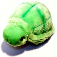 �g�C�U���X�̃J��