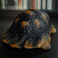 �t�`�]�����N�K��