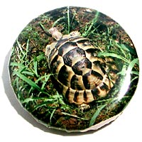 Can �o�b�` good�I