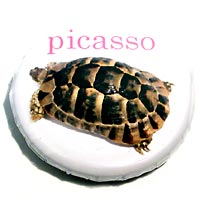 Can �o�b�` good�I