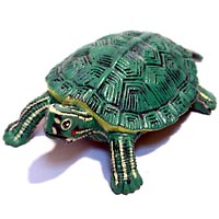 ���F঒��ރJ���ڐ}��