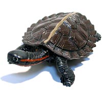 ���F঒��ރJ���ڐ}��