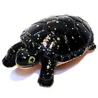 ���F঒��ރJ���ڐ}��