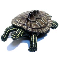 ���F঒��ރJ���ڐ}��