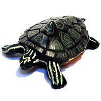 ���F঒��ރJ���ڐ}��