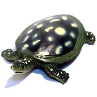 ���F঒��ރJ���ڐ}��