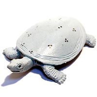 ���F঒��ރJ���ڐ}��