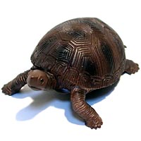 ���F঒��ރJ���ڐ}��