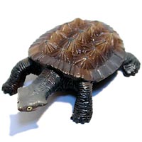 ���F঒��ރJ���ڐ}��