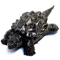 ���F঒��ރJ���ڐ}��