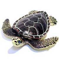 ���F঒��ރJ���ڐ}��