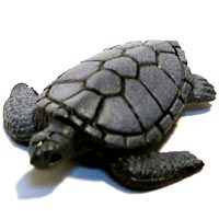 ���F঒��ރJ���ڐ}��