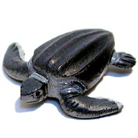 ���F঒��ރJ���ڐ}��