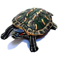 ���F঒��ރJ���ڐ}��