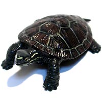 ���F঒��ރJ���ڐ}��