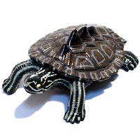 ���F঒��ރJ���ڐ}��