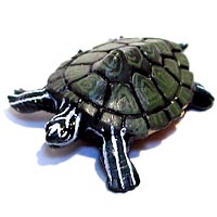 ���F঒��ރJ���ڐ}��