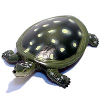 ���F঒��ރJ���ڐ}��