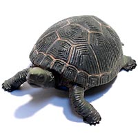 ���F঒��ރJ���ڐ}��