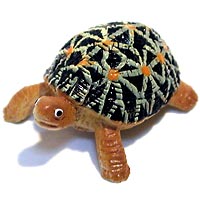 ���F঒��ރJ���ڐ}��