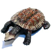 ���F঒��ރJ���ڐ}��