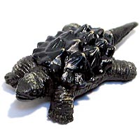 ���F঒��ރJ���ڐ}��