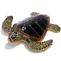 ���F঒��ރJ���ڐ}��