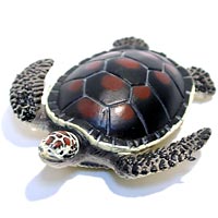 ���F঒��ރJ���ڐ}��