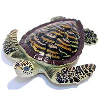 ���F঒��ރJ���ڐ}��